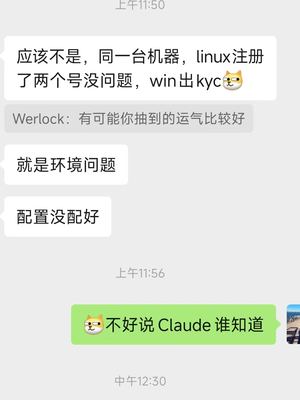 群友实测 Linux 与 Windows 注册的聊天截图