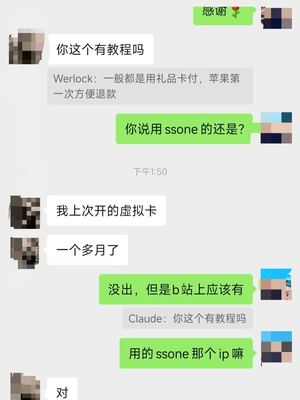 群友反馈 SSOne 加虚拟卡订阅的聊天截图